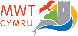 mwt-cymru
